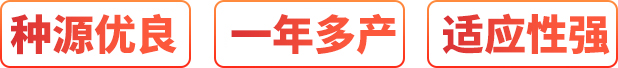 廠(chǎng)家直銷(xiāo)、按需定制、價(jià)格優(yōu)惠